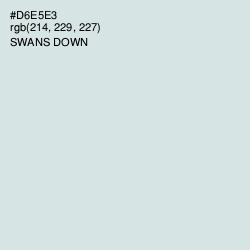 #D6E5E3 - Swans Down Color Image
